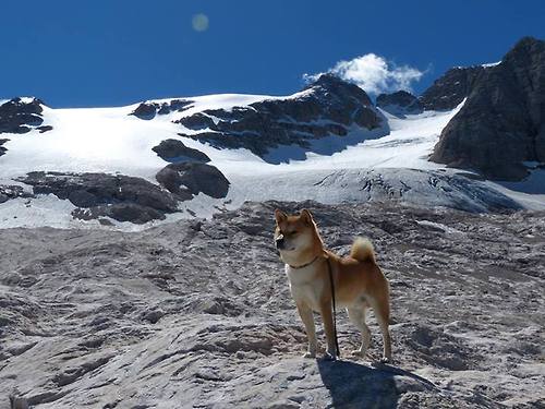 九游网页版官网-《顶级战队经理揭秘：打造冠军战队的幕后故事》，顶尖战队