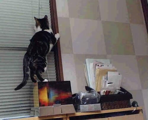 中超联赛引入智能裁判技术提升判罚精准度,中超裁判又出争议判罚